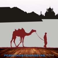 Camello del desierto