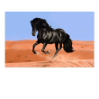 Caballo del desierto